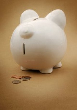 宠物店安全防护选购指南防逃脱